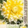 Dahlia Grand Prix - RB