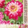 Dahlia Senior's Dream - RB