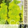 Gladiolus Green Star - RB