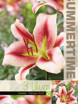 Lilium Olympic Torch - RB