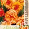 Begonia Picotee Yellow-Red - RB