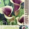 Zantedeschia Picasso - RB