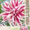 Lilium Magic Star - RB