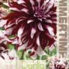 Dahlia Tartan - RB
