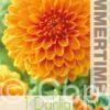 Dahlia Sylvia - RB