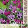 Babiana Stricta Mixed - RB