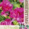 Freesia Double Pink - RB
