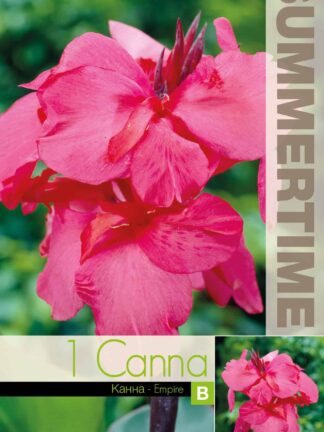 Canna Empire - RB