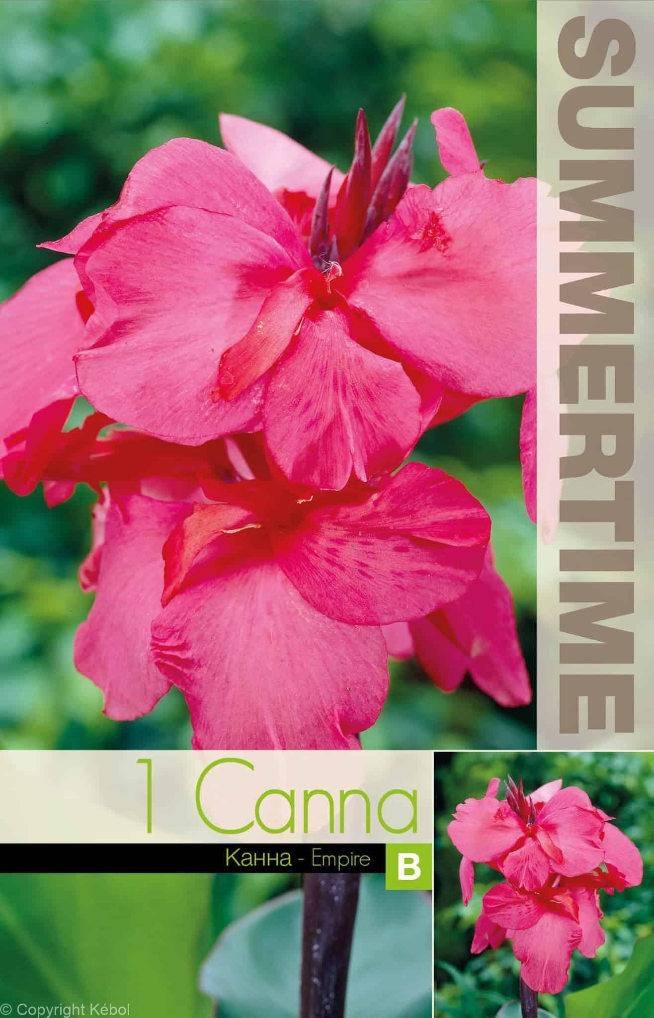 Canna Empire - RB