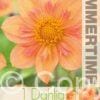 Dahlia Kelsey Annie Joy - RB