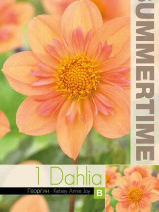 Dahlia Kelsey Annie Joy - RB