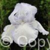 Iris germanica English Cottage - Bag