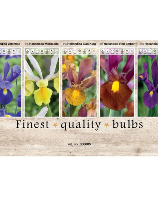 Showbox Iris 306685