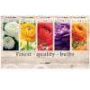 Showbox Ranunculus 306687