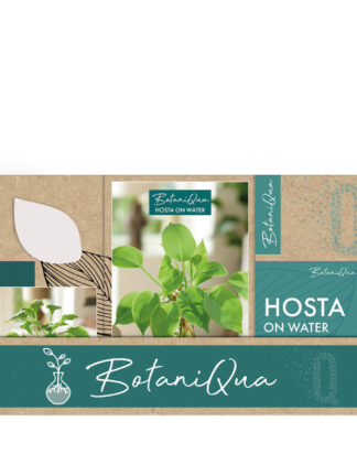 Botaniqua Hosta Mixed