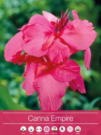 Canna Empire