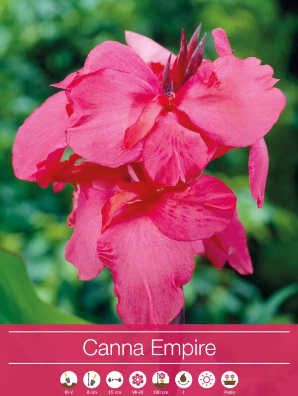 Canna Empire