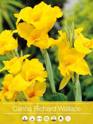 Canna Richard Wallace - bag