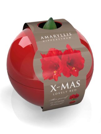 X-Mas Ball red