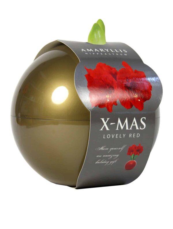 X-Mas Ball gold