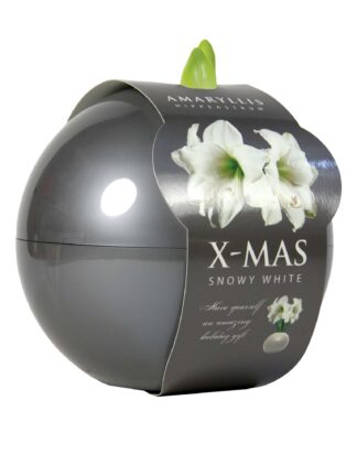 X-Mas Ball silver