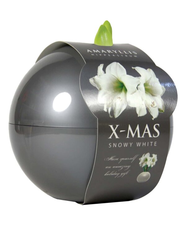 X-Mas Ball silver
