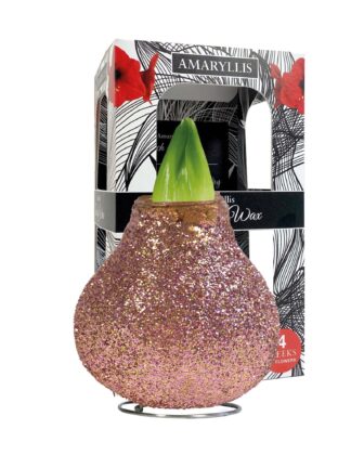 ToW Magic rose-gold