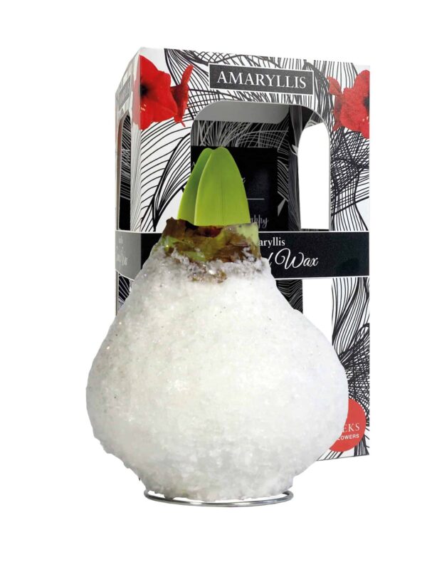 ToW Glamour white