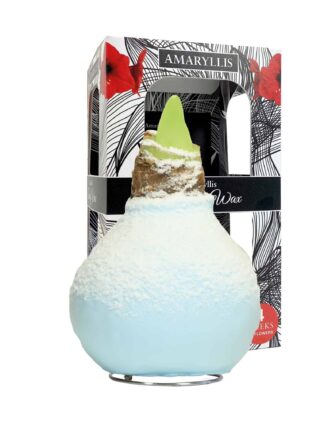 ToW Snow blue