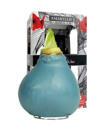 ToW Gloss petrol