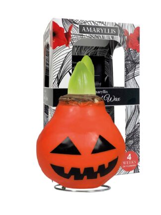 ToW Special Halloween