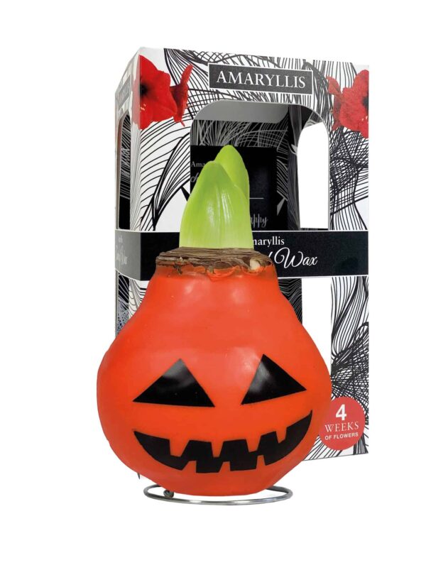 ToW Special Halloween