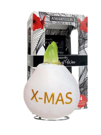ToW Special print X-Mas