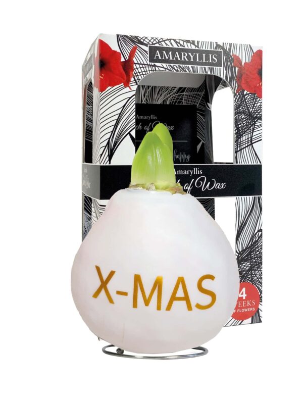 ToW Special print X-Mas