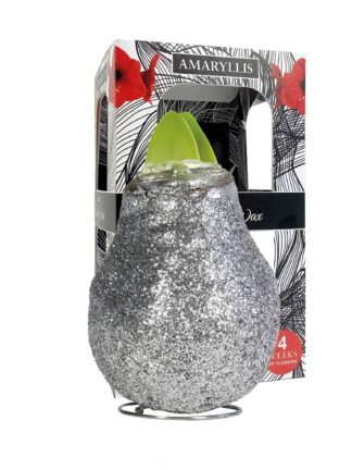 ToW Magic silver
