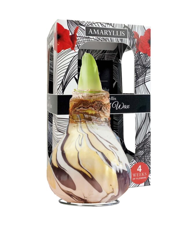ToW Swirl black