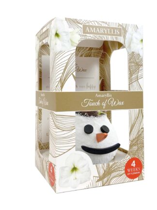 ToW Special Snowman