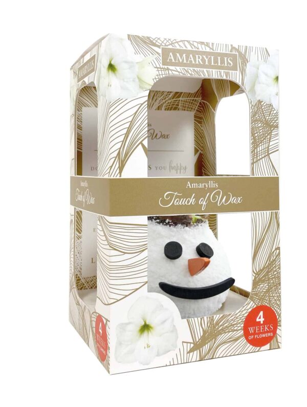ToW Special Snowman