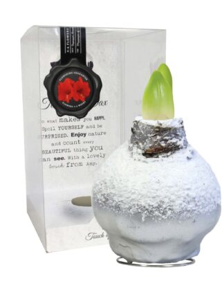 ToW Snow silver