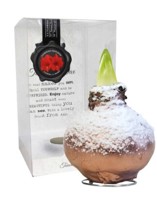ToW Snow copper