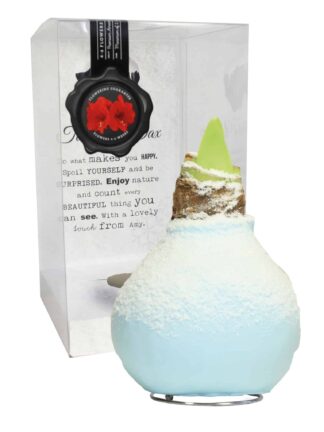ToW Snow blue