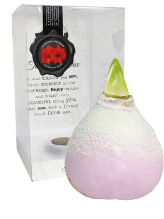 ToW Snow pink