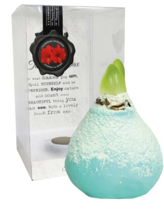 ToW Snow vintage green