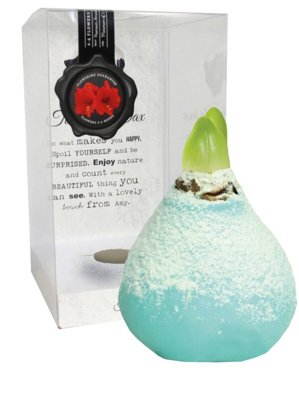ToW Snow vintage green