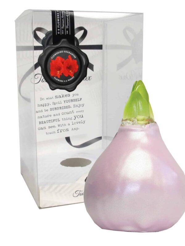 ToW Celebration pearl pink