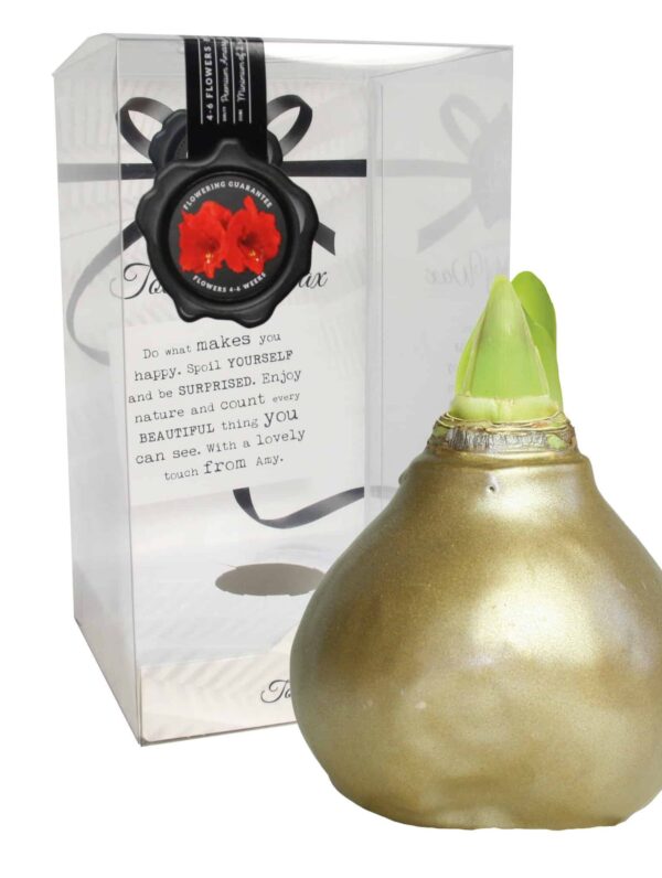 ToW Celebration pearl bronze