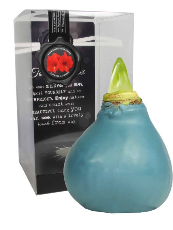 ToW Gloss petrol