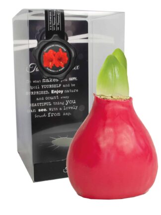 ToW Gloss raspberry red