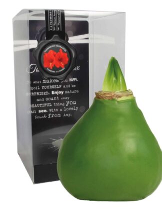 ToW Gloss olive