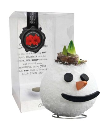 SE/03 in PET gift box / red flower